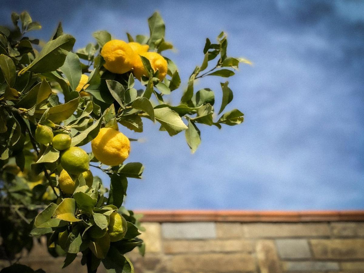 Da Ilaria Primo Piano Di Villa Con Piscina E Parcheggio Grosseto Exterior photo